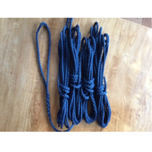 Set van 4 Landvasten Blauw 5 meter lang 8 MM dik